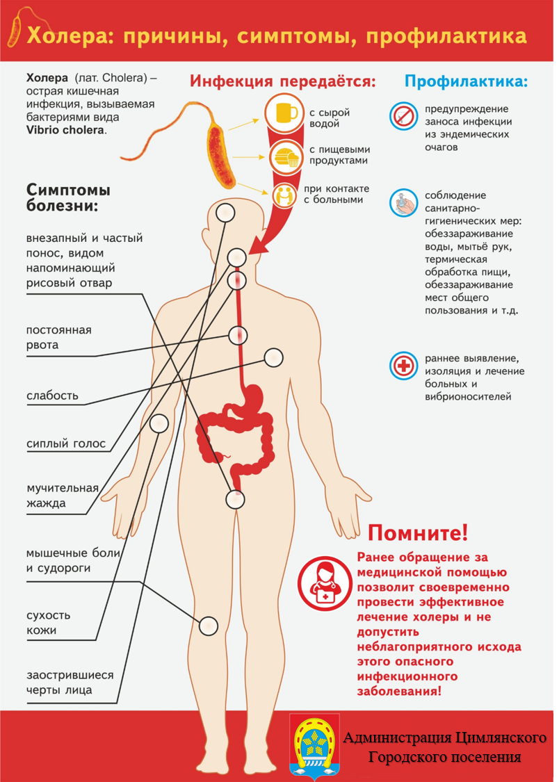 Профилактика холеры картинки