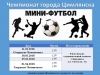 Чемпионат г. Цимлянска по мини-футболу
